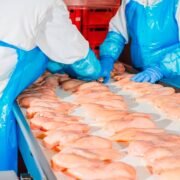 Trabajador de Producción (Fabrica de Pollo)