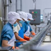 Trabajador de Producción (Fabrica de Salmon)